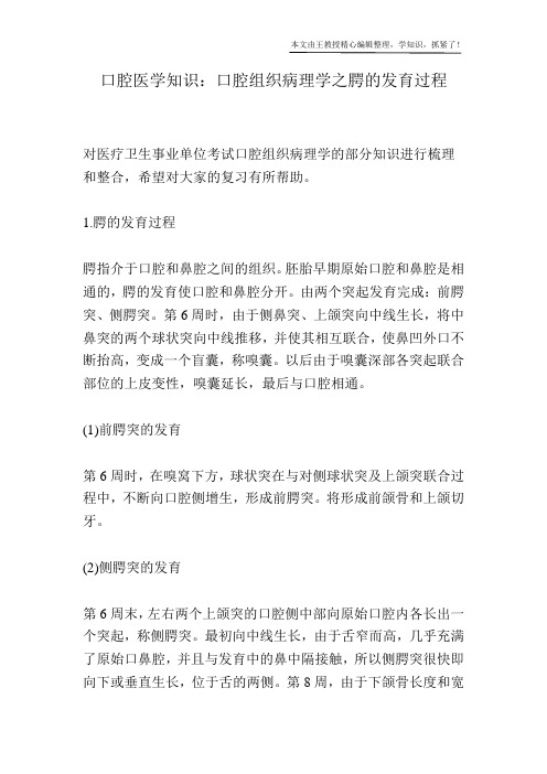 口腔医学知识：口腔组织病理学之腭的发育过程