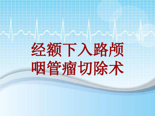 手术讲解模板:经额下入路颅咽管瘤切除术