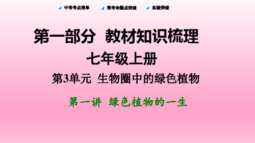 初中中考生物教材梳理(课件+练习)第一讲 绿色植物的一生