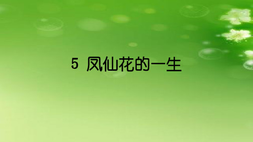 三年级下册科学课件-5《凤仙花的一生》 ｜鄂教版          (共11张PPT)