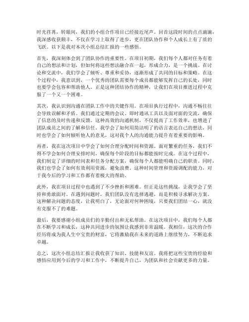 小组总结汇报感悟范文