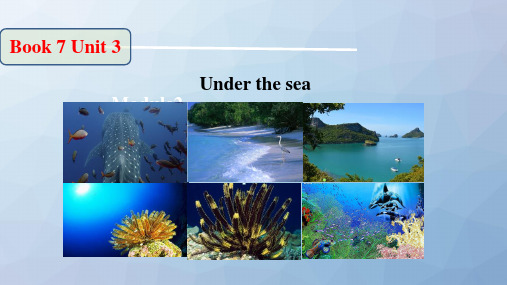 高三英语一轮复习精品课件：Unit 3 Under the sea (1)