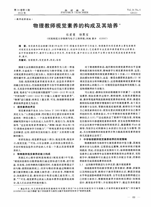 物理教师视觉素养的构成及其培养
