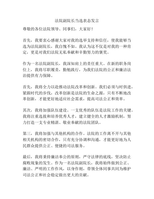 法院副院长当选表态发言