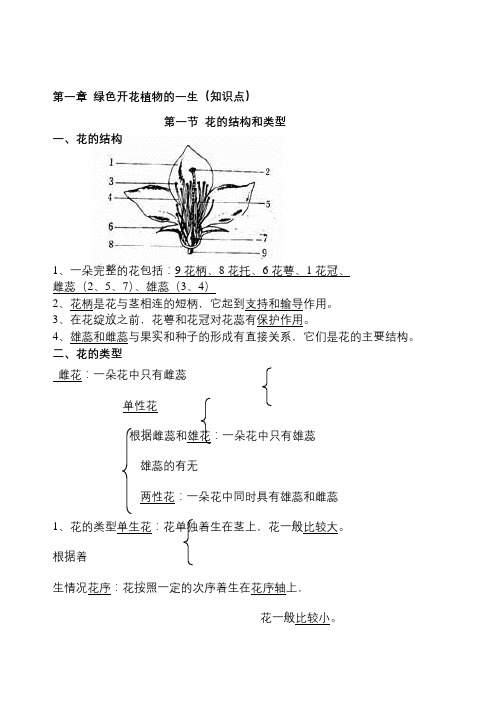 绿色开花植物的一生(知识点)