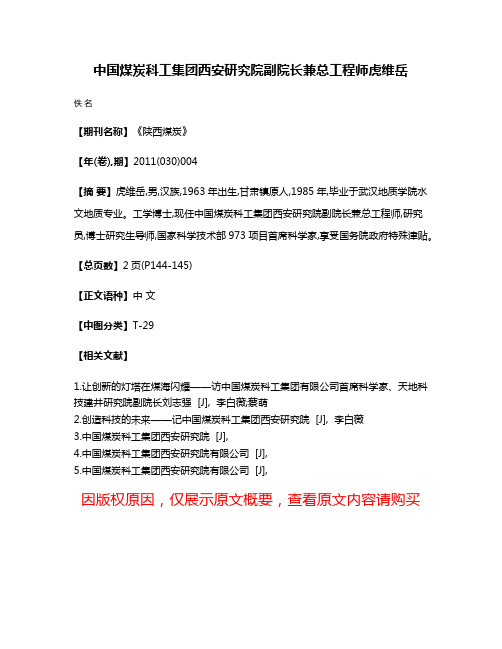 中国煤炭科工集团西安研究院副院长兼总工程师虎维岳