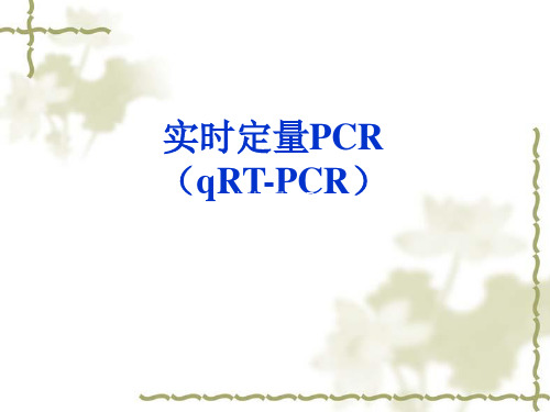 实时定量PCR.ppt