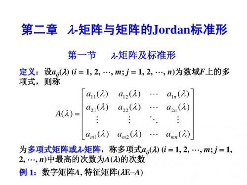 矩阵分析第二章