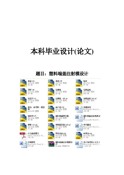 塑料端盖注射模具毕业设计