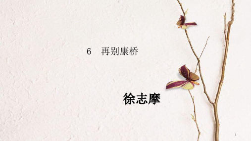 九年级语文下册 第二单元 6《再别康桥》教学课件 语文版.pptx