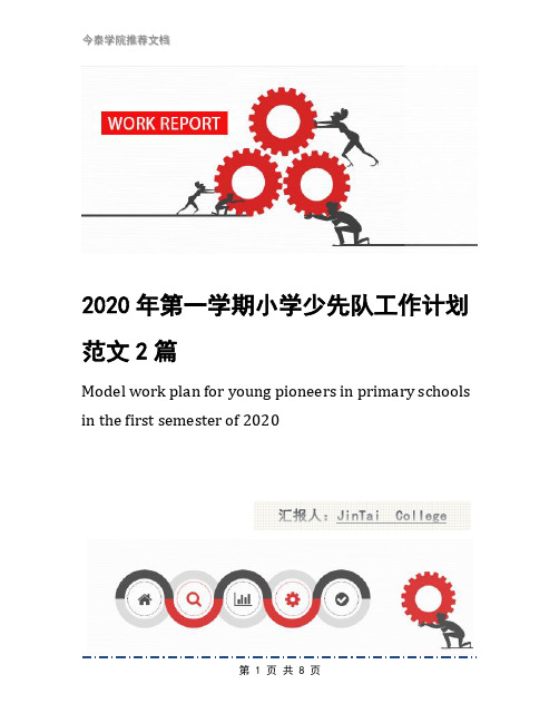 2020年第一学期小学少先队工作计划范文2篇