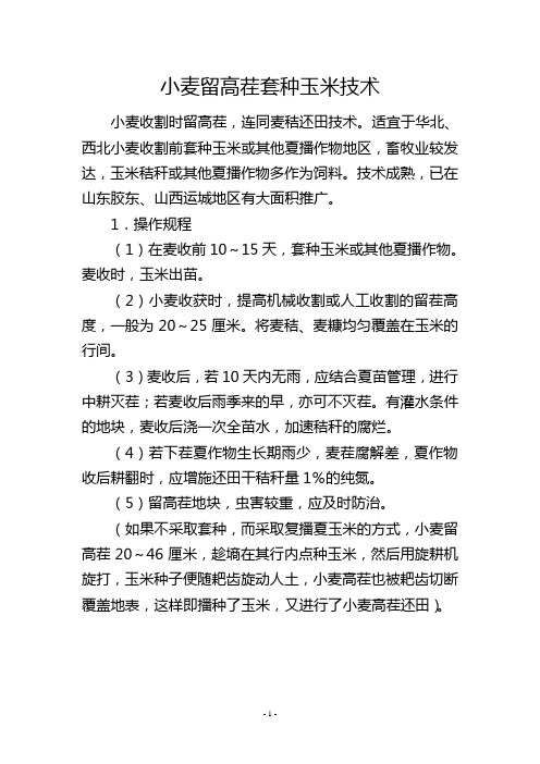 小麦留高茬套种玉米技术