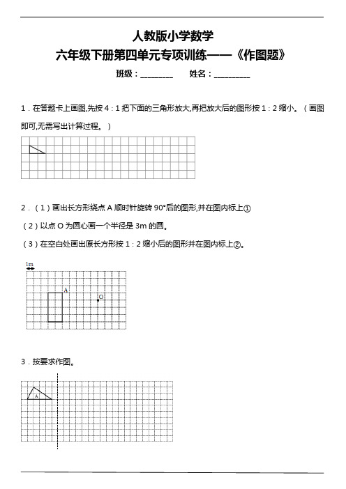 人教版小学数学六年级下册第四单元专项训练—《作图题》(含答案)