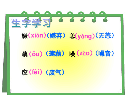 新型玻璃1PPT课件