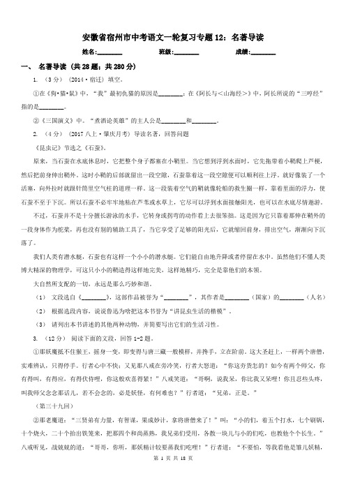 安徽省宿州市中考语文一轮复习专题12：名著导读