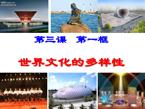 《世界文化的多样性》PPT课件