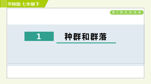 华师版七年级下册科学 第5章 5.1种群和群落 习题课件