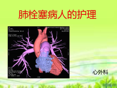 肺栓塞病人的护理1精品PPT课件