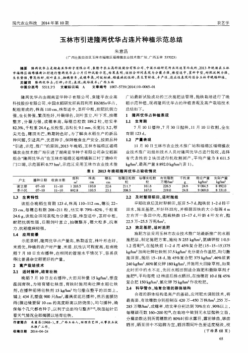 玉林市引进隆两优华占连片种植示范总结