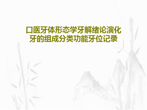 口医牙体形态学牙解绪论演化牙的组成分类功能牙位记录37页PPT