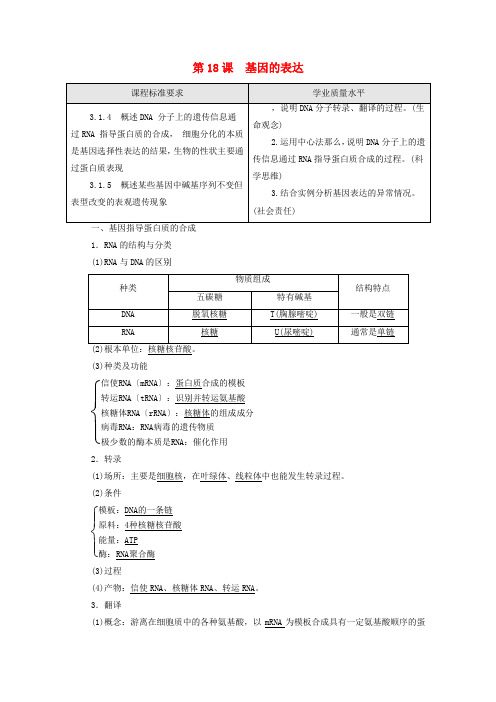 2022版新教材高考生物一轮复习第6单元基因的本质和表达第18课基因的表达学案新人教版