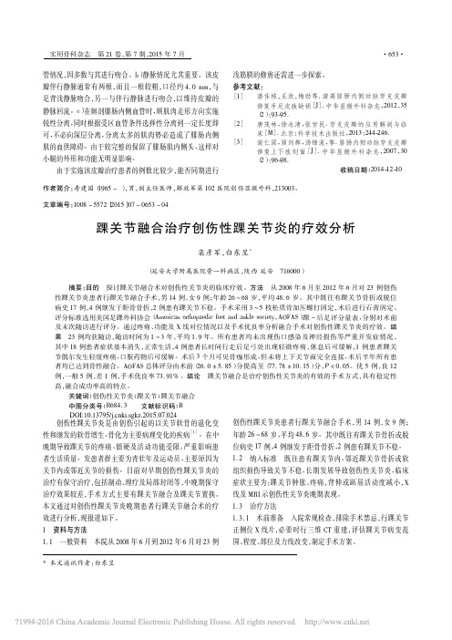 踝关节融合治疗创伤性踝关节炎的疗效分析_栾彦军