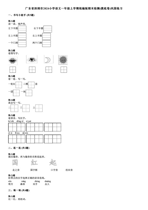 广东省深圳市2024小学语文一年级上学期统编版期末检测(摸底卷)巩固练习