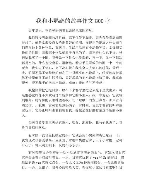 我和小鹦鹉的故事作文800字