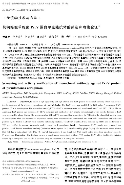 抗铜绿假单胞菌PcrV蛋白单克隆抗体的筛选和功能验证