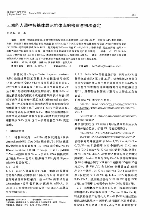 天然的人源性核糖体展示抗体库的构建与初步鉴定