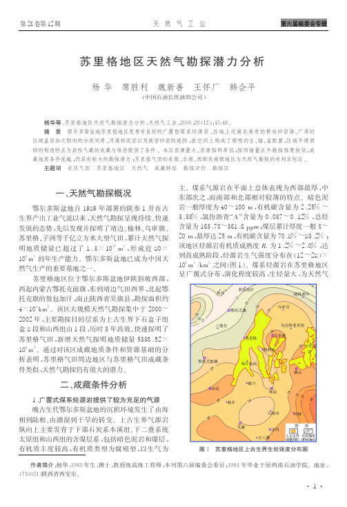 苏里格地区天然气勘探潜力分析.do