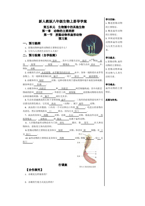 新人教版八年级上册生物导学案及答案