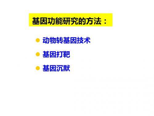 医学分子生物学上用基因功能研究的基本策略PPT课件