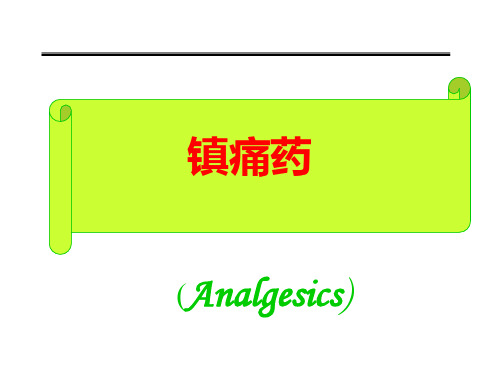 药理学 镇痛药