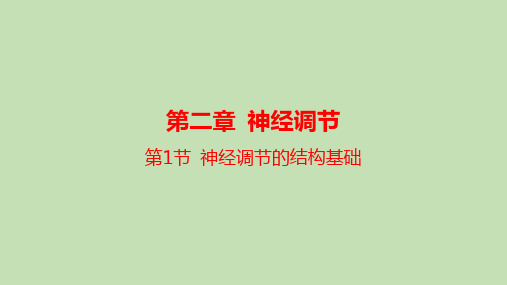 【课件】神经调节的结构基础课件2022-2023学年高二上学期生物人教版选择性必修1