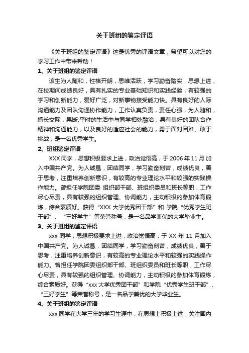 关于班组的鉴定评语