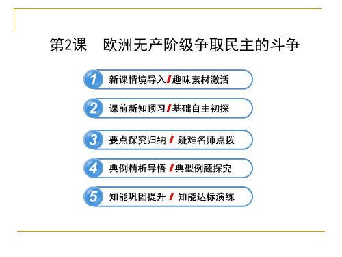 7.2 欧洲无产阶级争取民主的斗争 课件(人教版选修2)