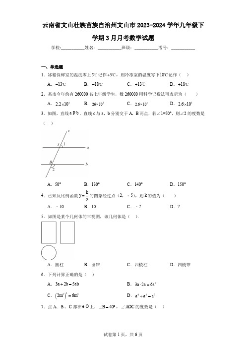 云南省文山壮族苗族自治州文山市2023-2024学年九年级下学期3月月考数学试题