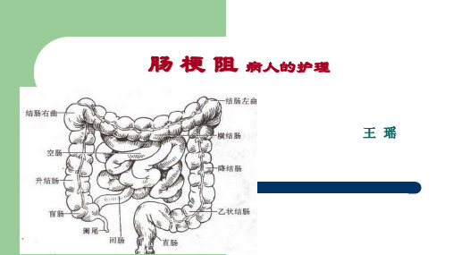 外科护理学肠梗阻病人的护理【36页】