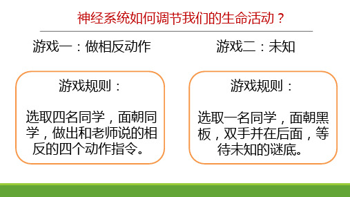 初中生物人教版七年级上册第三节 开花和结果