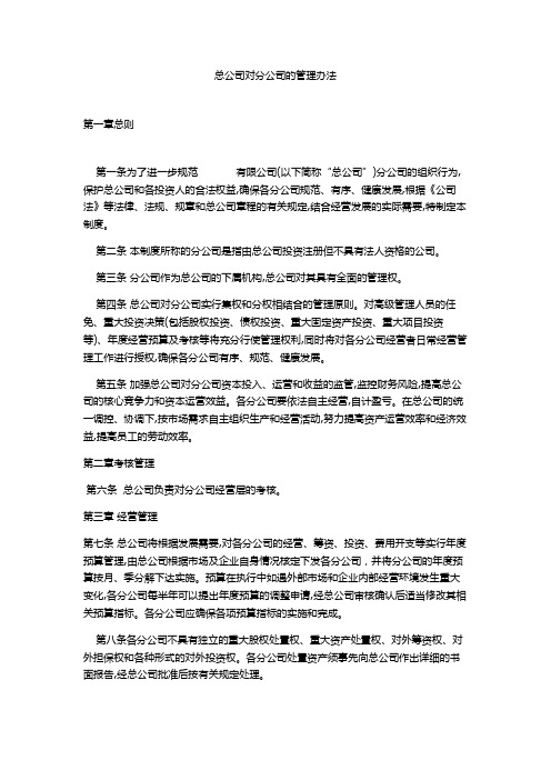 集团对分公司的管理制度