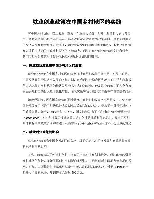 就业创业政策在中国乡村地区的实践