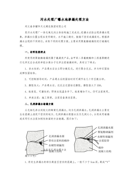 污水处理厂曝水池渗漏处理方法