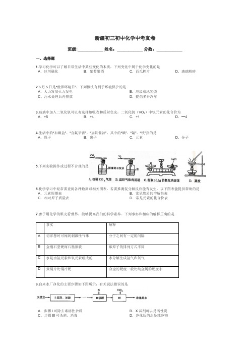 新疆初三初中化学中考真卷带答案解析