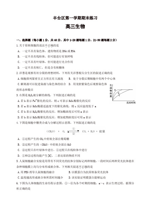 2019-2020年北京市丰台区高三上学期期末考试生物试卷(有答案)