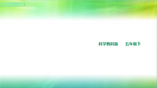 教科版小学科学五年级下册科学3.6摆的研究