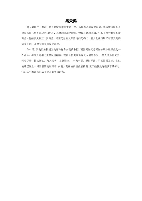 黑天鹅