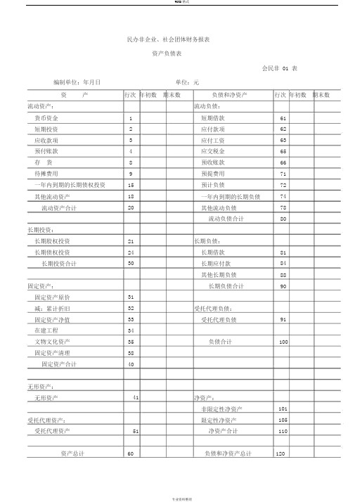 社会团体财务报表