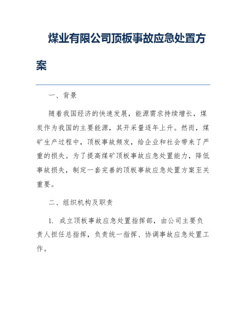 煤业有限公司顶板事故应急处置方案