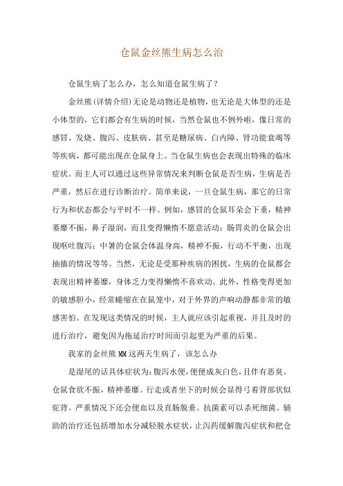 仓鼠金丝熊生病怎么治